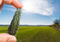 Meet Moldavite: The Stone of Transformation - Dinomite Rocks & Gems