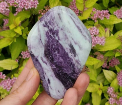 Healing Traits of Kammererite and New Growth