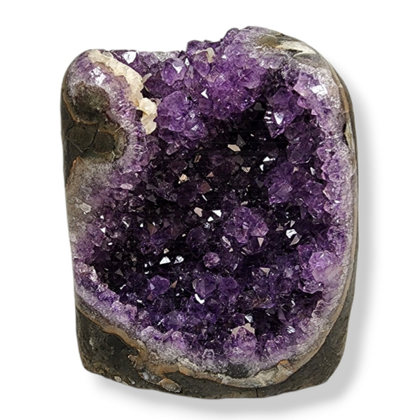 Amethyst for Sale | Dinomite Rocks and Gems