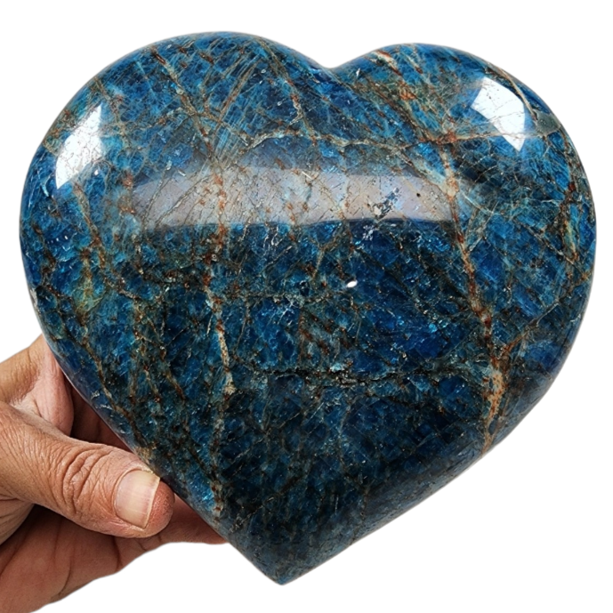 Blue Apatite Heart | Dinomite Rocks and Gems
