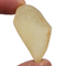 Libyan Desert Glass for Sale| Dinomite Rocks and Gems