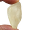 Libyan Desert Glass for Sale| Dinomite Rocks and Gems