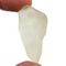 Libyan Desert Glass for Sale| Dinomite Rocks and Gems