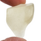 Libyan Desert Glass for Sale| Dinomite Rocks and Gems