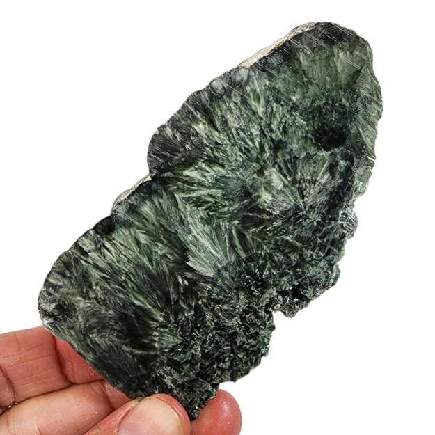 Seraphinite Slab for Sale | Dinomite Rocks and Gems