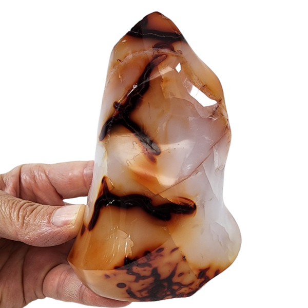 Carnelian for Sale | Dinomite Rocks and Gems