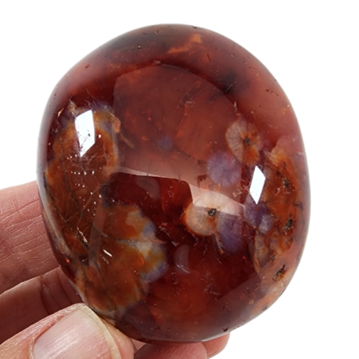 Carnelian for Sale | Dinomite Rocks and Gems
