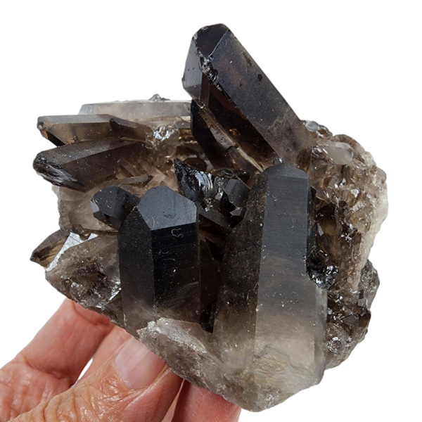 Smoky Quartz Cluster for Sale | Dinomite Rocks and Gems