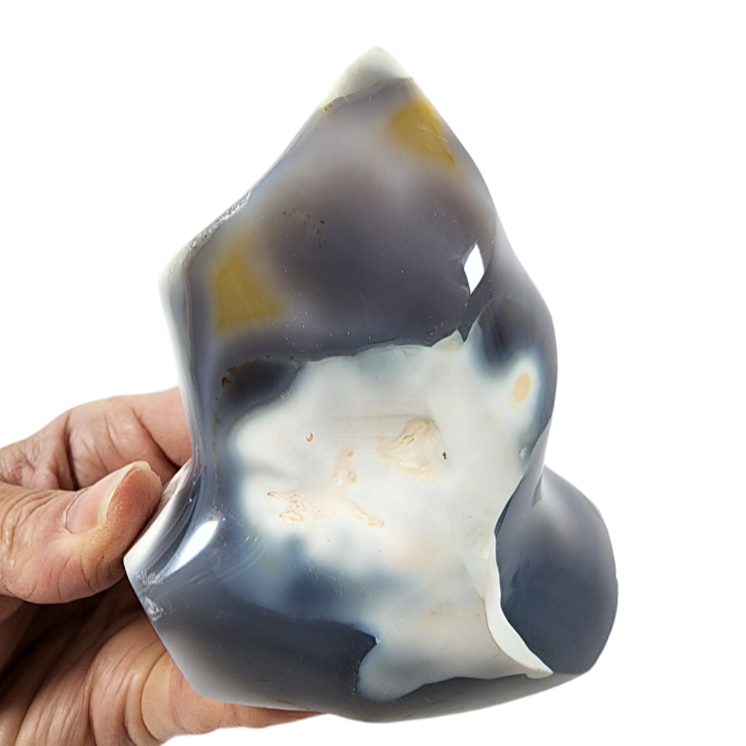 Banded Agate for Sale | Dinomite Rocks and Gems