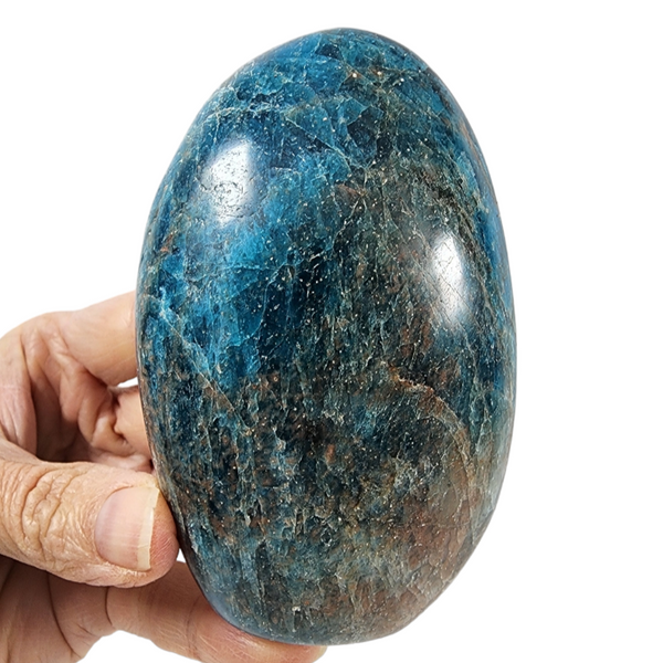 Blue Apatite Crystal for Sale | Dinomite Rocks and Gems