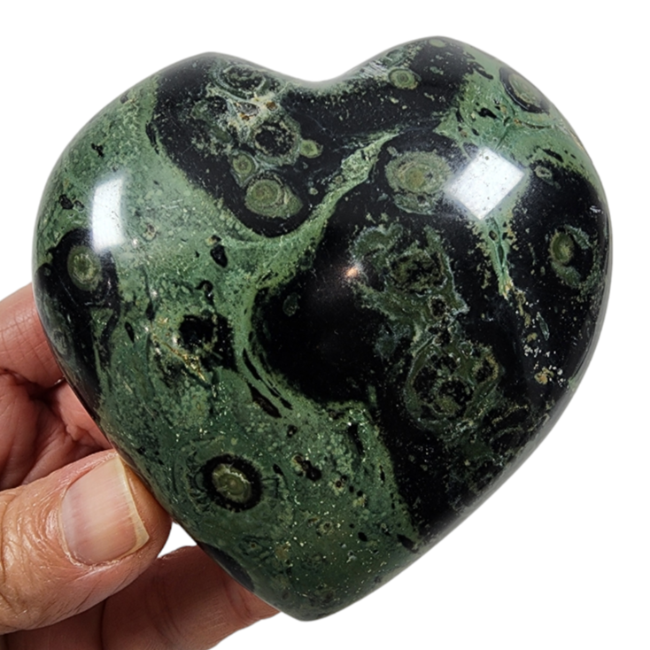 Kambaba Jasper Heart for Sale | Dinomite Rocks and Gems