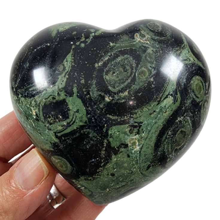 Kambaba Jasper Heart for Sale | Dinomite Rocks and Gems