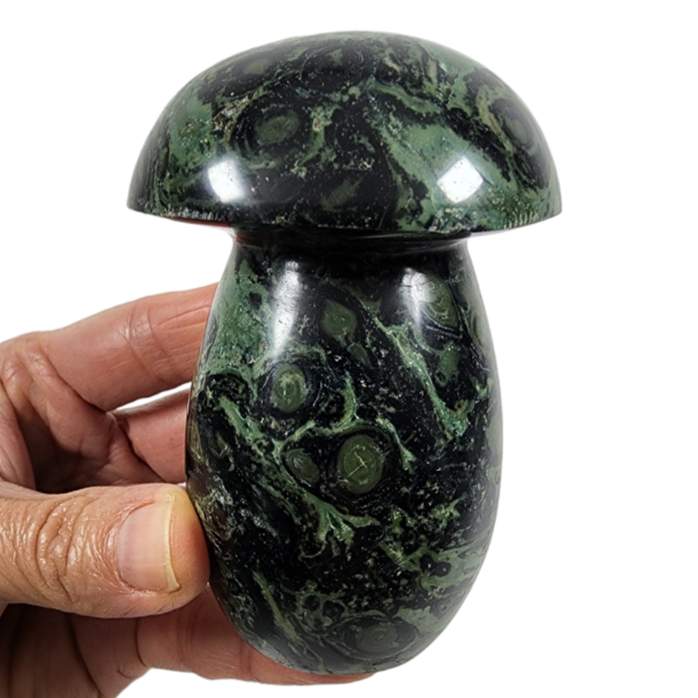 Kambaba Jasper Polished Mushroom | Dinomite Rocks and Gems