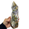 Ocean Jasper for Sale | Dinomite Rocks and Gems