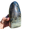 Labradorite Polished Freeform from Madagascar | Dinomite Rocks and Gems