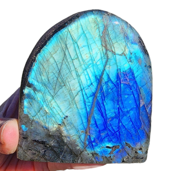 Labradorite Polished Freeform from Madagascar | Dinomite Rocks and Gems