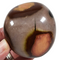 Polychrome Pebble for Sale | Dinomite Rocks and Gems