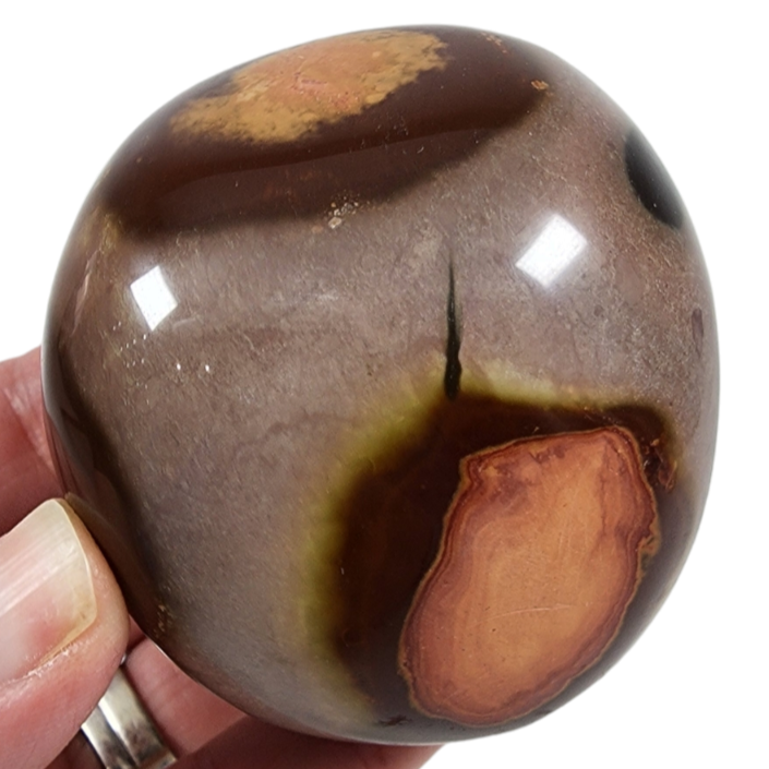 Polychrome Pebble for Sale | Dinomite Rocks and Gems