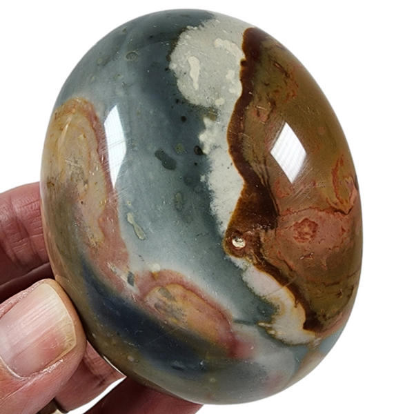 Polychrome Pebble for Sale | Dinomite Rocks and Gems