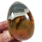 Polychrome Pebble for Sale | Dinomite Rocks and Gems