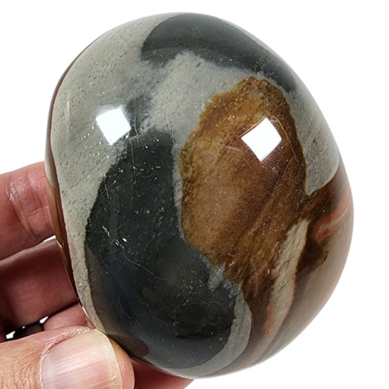 Polychrome Pebble for Sale | Dinomite Rocks and Gems