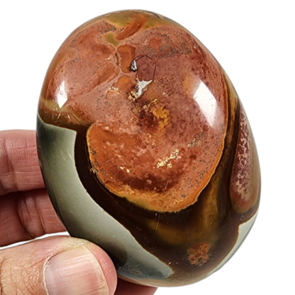 Polychrome Pebble for Sale | Dinomite Rocks and Gems