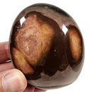 Polychrome Pebble for Sale | Dinomite Rocks and Gems