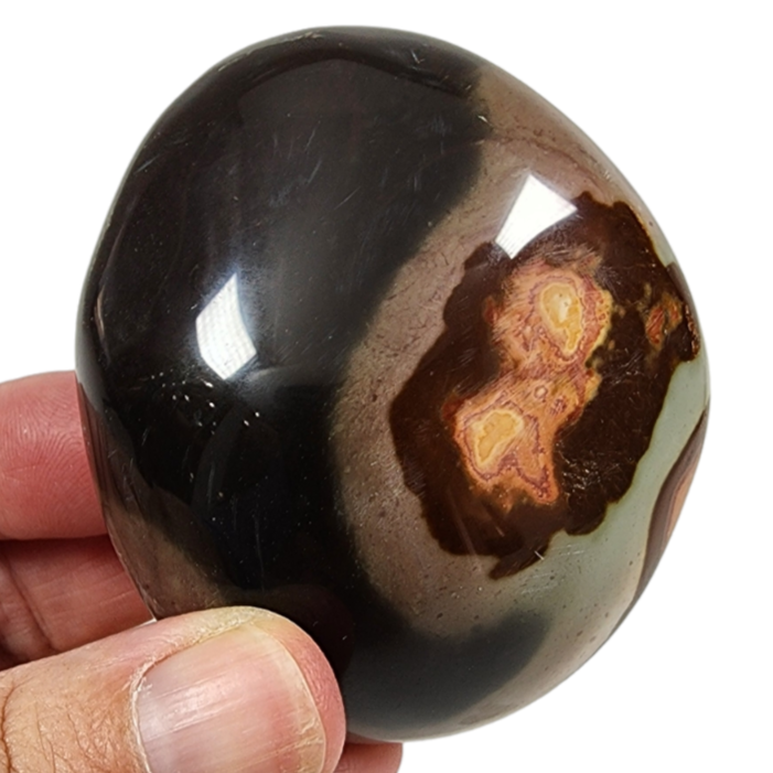 Polychrome Pebble for Sale | Dinomite Rocks and Gems