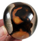 Polychrome Pebble for Sale | Dinomite Rocks and Gems