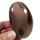 Polychrome Pebble for Sale | Dinomite Rocks and Gems