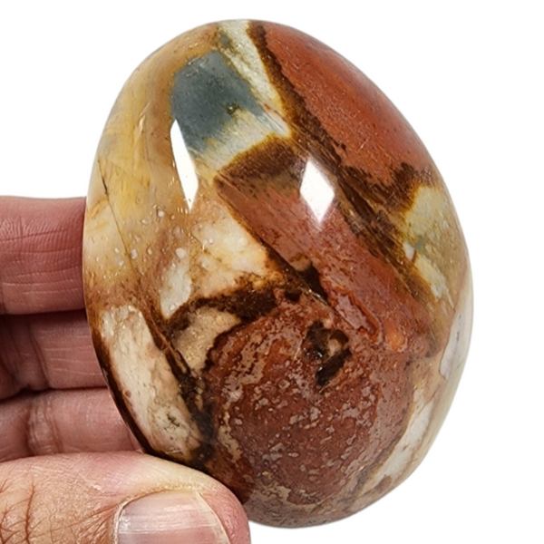 Polychrome Pebble for Sale | Dinomite Rocks and Gems