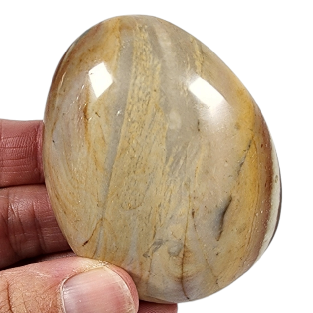 Polychrome Pebble for Sale | Dinomite Rocks and Gems