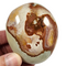 Polychrome Pebble for Sale | Dinomite Rocks and Gems