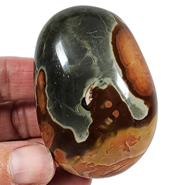 Polychrome Pebble for Sale | Dinomite Rocks and Gems