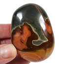 Polychrome Pebble for Sale | Dinomite Rocks and Gems