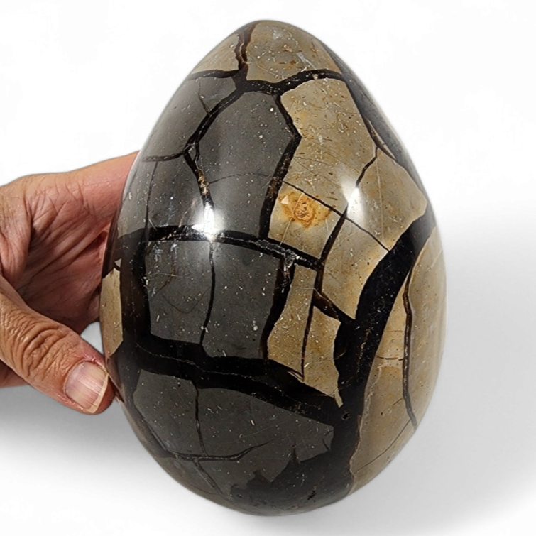 Septarian Dragon Egg - 3.47lbs