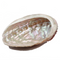 Abalone Shell for Sale | Dinomite Rocks and Gems