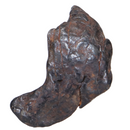 Canyon Diablo Meteorite - 7.42 grams