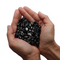 Petrovsky Shungite Polished Pieces - 20 gram lot