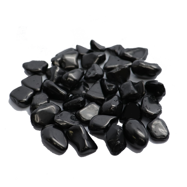 Petrovsky Shungite Polished Pieces - 20 gram lot