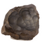 Hematite for Sale | Dinomite Rocks and Gems