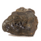 Hematite for Sale | Dinomite Rocks and Gems
