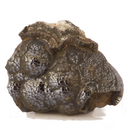 Hematite for Sale | Dinomite Rocks and Gems