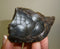 Hematite, Kidney, Dinomite Rocks and Gems, Crystals, Metaphystal, Rocks, Gems