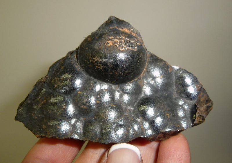 Hematite, Kidney, Dinomite Rocks and Gems, Crystals, Metaphystal, Rocks, Gems