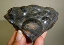 Hematite, Kidney, Dinomite Rocks and Gems, Crystals, Metaphystal, Rocks, Gems
