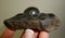 Hematite, Kidney, Dinomite Rocks and Gems, Crystals, Metaphystal, Rocks, Gems