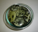 Cyntha Serpentine Smooth Stone
