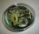 Cyntha Serpentine Smooth Stone