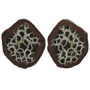 Septarian Nodule - 298g